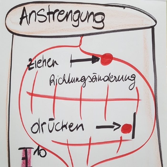 Ursula Sommer | Kinaesthetics